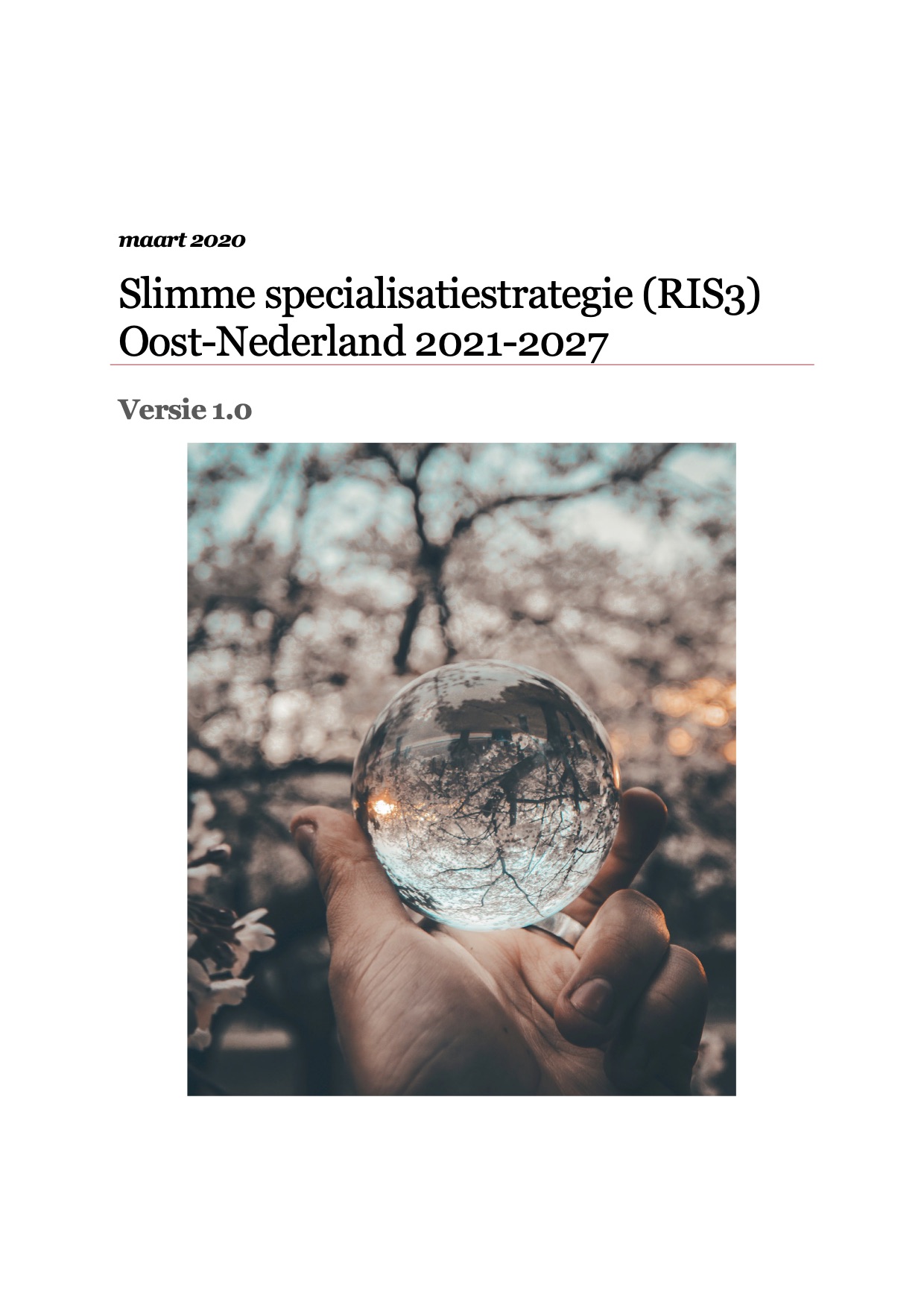 Development of the Smart Specialisation Strategy for the East Netherlands (Province Gelderland and Province Overijssel, the Netherlands, 2019)