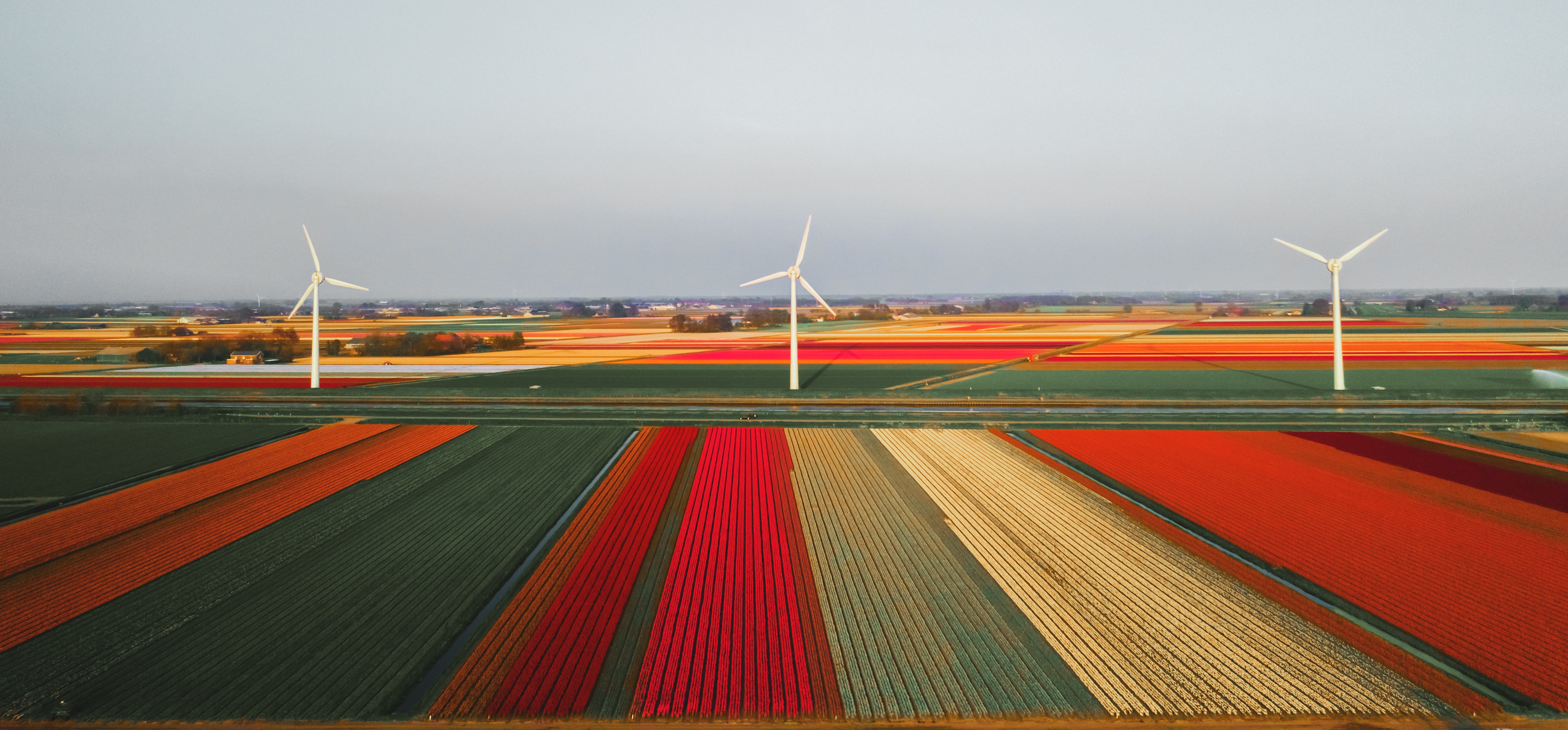 Governance dynamics of the Dutch Regional Energy Strategy