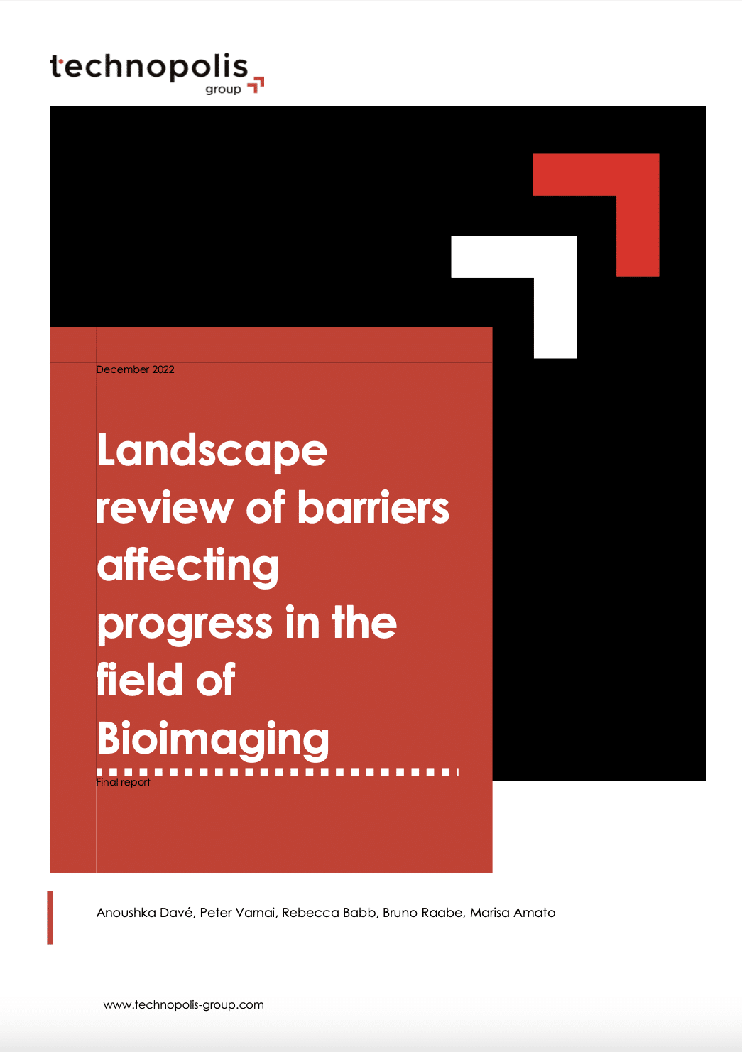 Landscape Review of Barriers Affecting Progress in Bioimaging